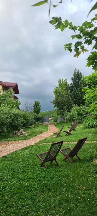 Enpi Lake Resort Iasi Exteriör bild