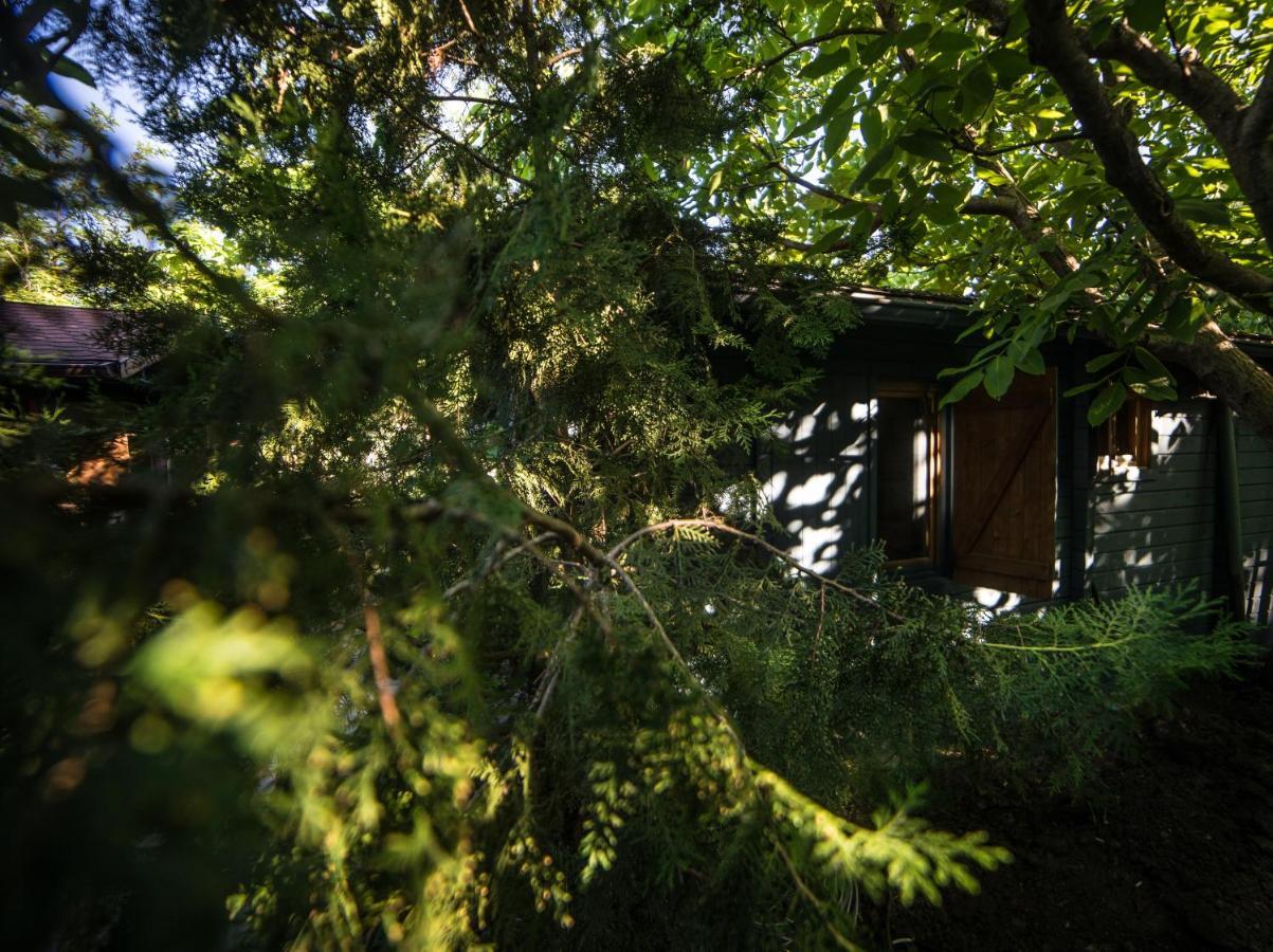 Enpi Lake Resort Iasi Exteriör bild